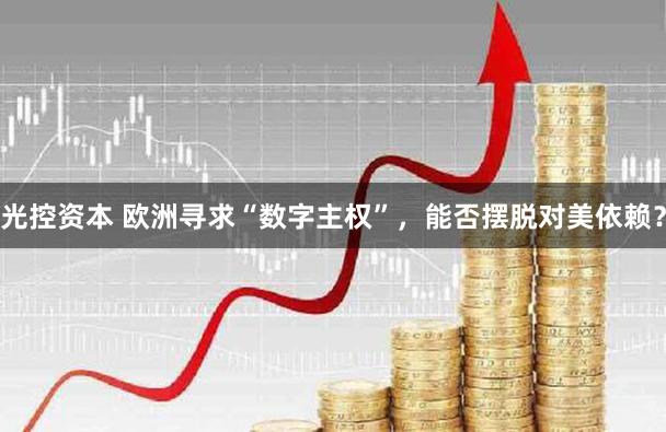 光控资本 欧洲寻求“数字主权”，能否摆脱对美依赖？