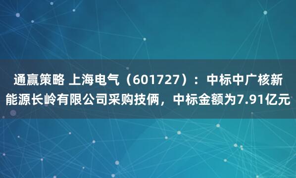 通赢策略 上海电气（601727）：中标中广核新能源长岭有限公司采购技俩，中标金额为7.91亿元