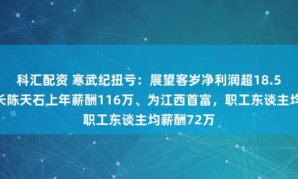科汇配资 寒武纪扭亏：展望客岁净利润超18.5亿，董事长陈天石上年薪酬116万、为江西首富，职工东谈主均薪酬72万