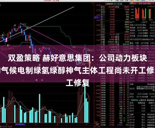 双盈策略 赫好意思集团：公司动力板块的气候电制绿氢绿醇神气主体工程尚未开工修复