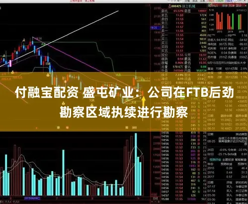付融宝配资 盛屯矿业：公司在FTB后劲勘察区域执续进行勘察