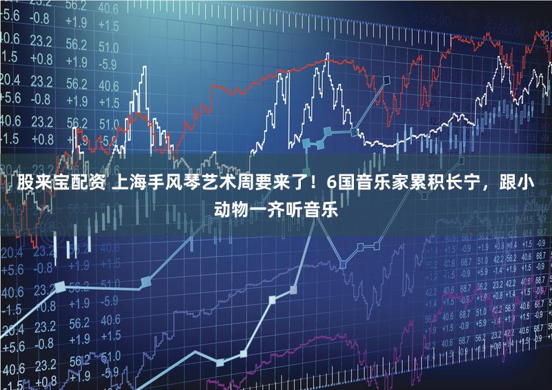 股来宝配资 上海手风琴艺术周要来了!6国音乐家累积长宁,跟小动物一齐听音乐