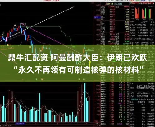 鼎牛汇配资 阿曼酬酢大臣:伊朗已欢跃“永久不再领有可制造核弹的核材料”