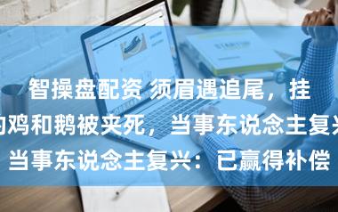 智操盘配资 须眉遇追尾，挂在后备箱上的鸡和鹅被夹死，当事东说念主复兴：已赢得补偿