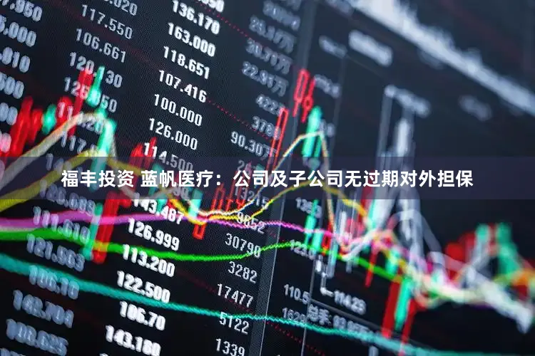 福丰投资 蓝帆医疗:公司及子公司无过期对外担保