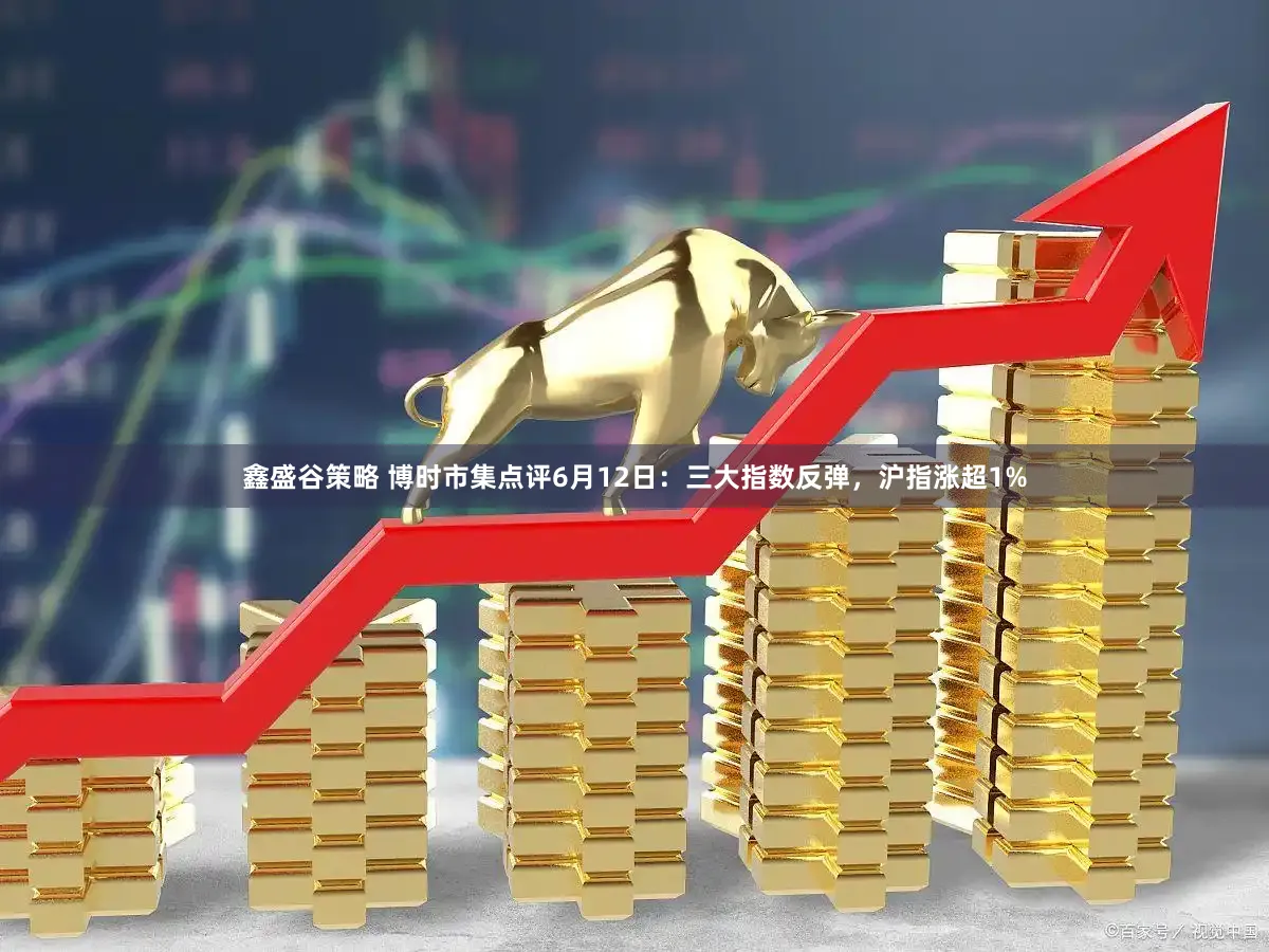鑫盛谷策略 博时市集点评6月12日：三大指数反弹，沪指涨超1%