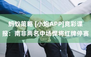 蚂蚁策略 [小炮APP]竞彩谍报：南非两名中场悍将红牌停赛